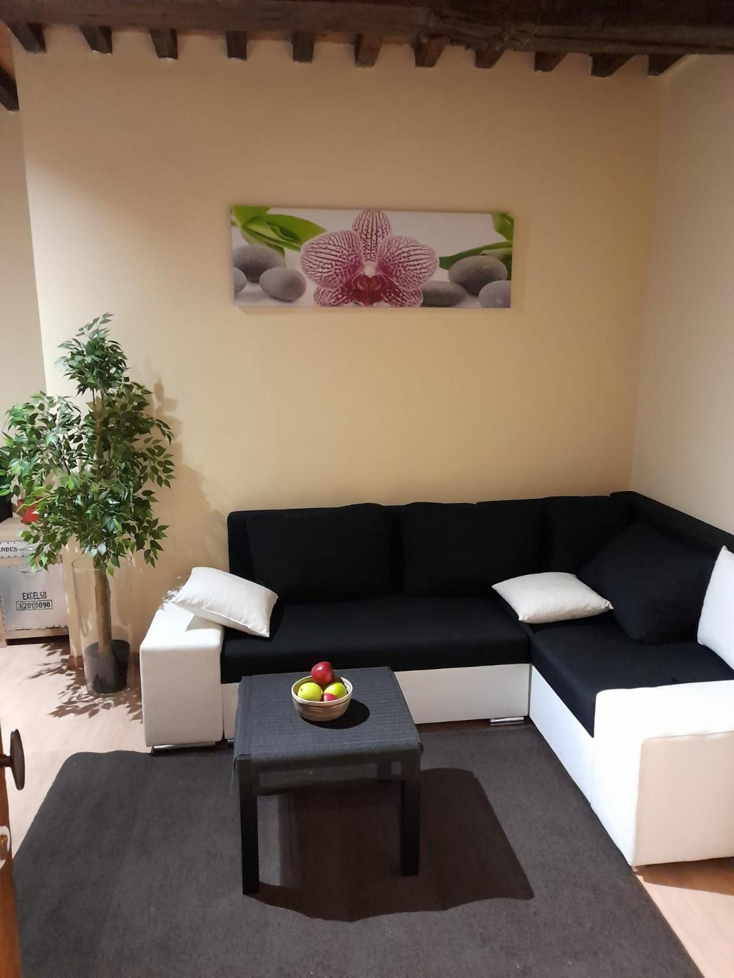 Cute,Cosy,Comfortable Studio In The Heart Of Antwerpen Daire Dış mekan fotoğraf